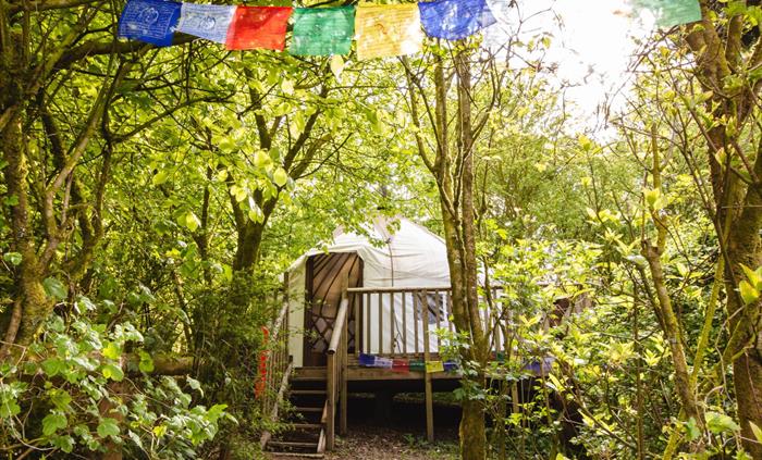 A cosy retreat built on a platform and hidden amongst the trees. Sleeps 4 people. The Bentwood yurt has a wood-burning stove which gives out plenty of